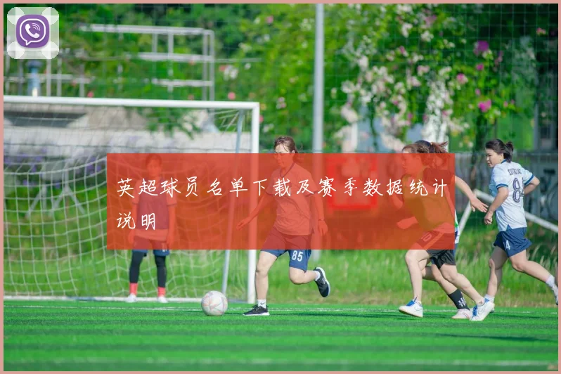 英超球员名单下载及赛季数据统计说明