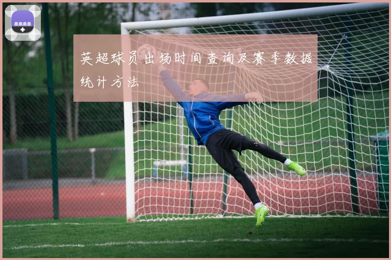 英超球员出场时间查询及赛季数据统计方法