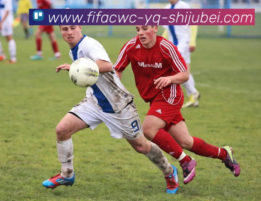 世界杯直播APP 封面图