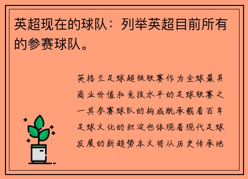 英超现在的球队：列举英超目前所有的参赛球队。
