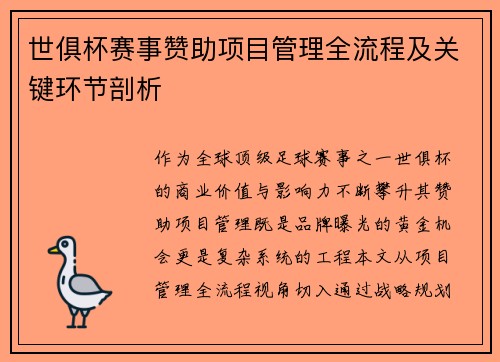 世俱杯赛事赞助项目管理全流程及关键环节剖析